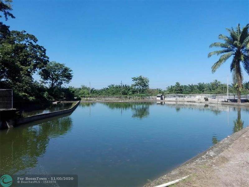 El Progreso, Yoro, Honduras - Photo 1