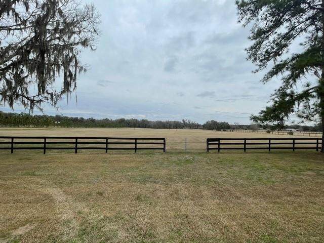 00 Hwy 316 - Photo 1