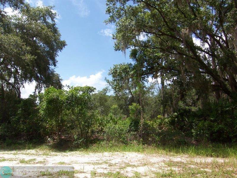 Lot 13 Poinciana Drive - Photo 1