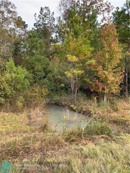 N/A Petunia Lane - Photo 1