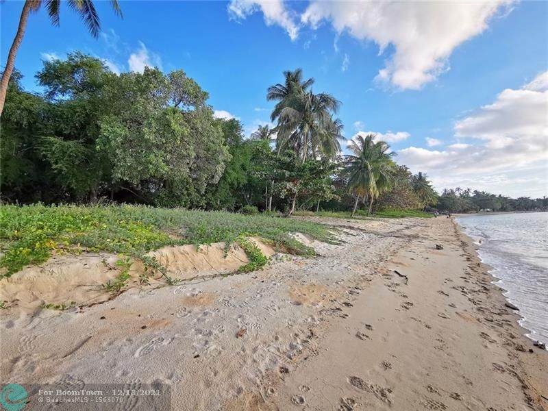 Lot 14 Estate Turner's Hole - Photo 1