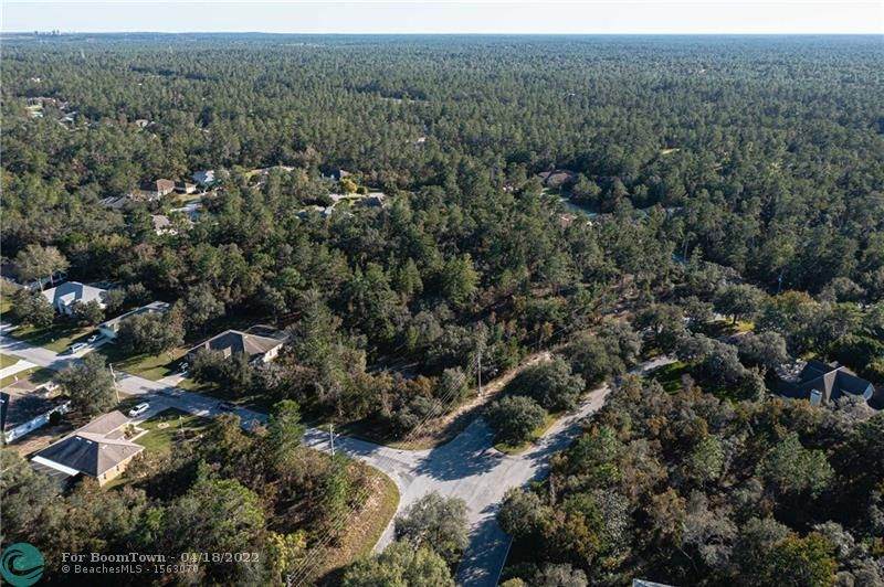 38 Oak Village Blvd - Photo 1