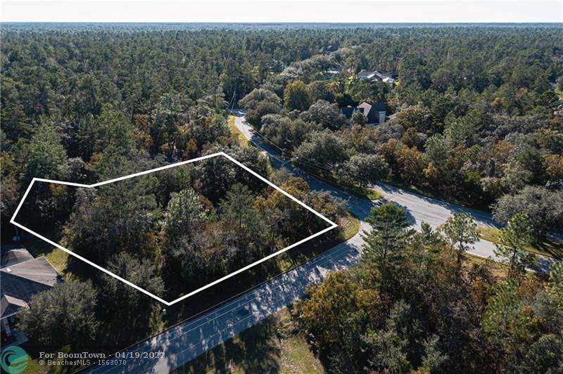73 Lone Pine Street - Photo 1