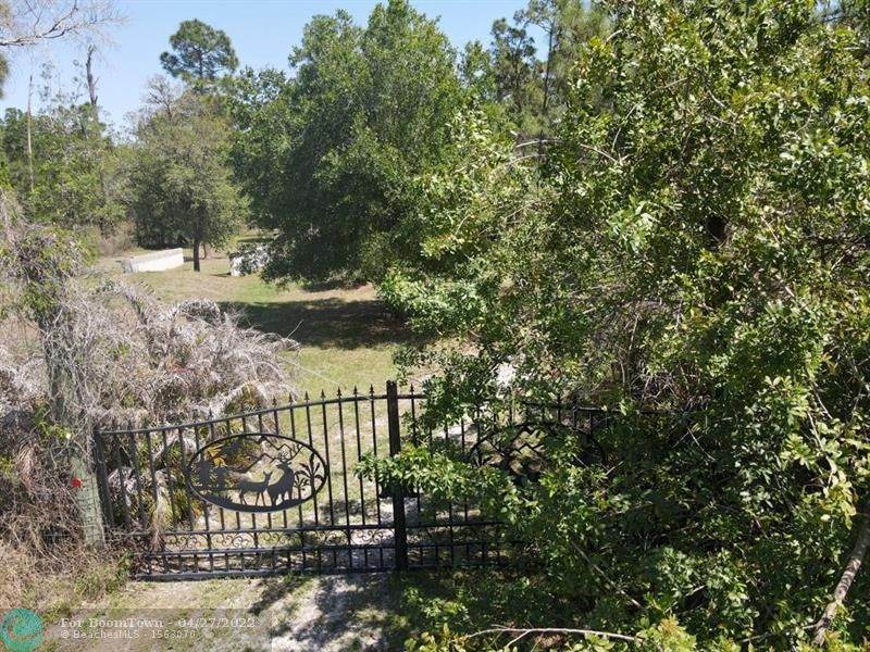 675 & 685 Cabbage Palm St - Photo 1