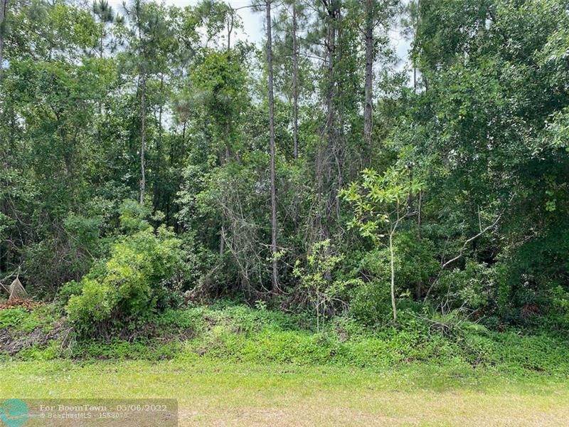 Lot 5 Allamanda Drive - Photo 1
