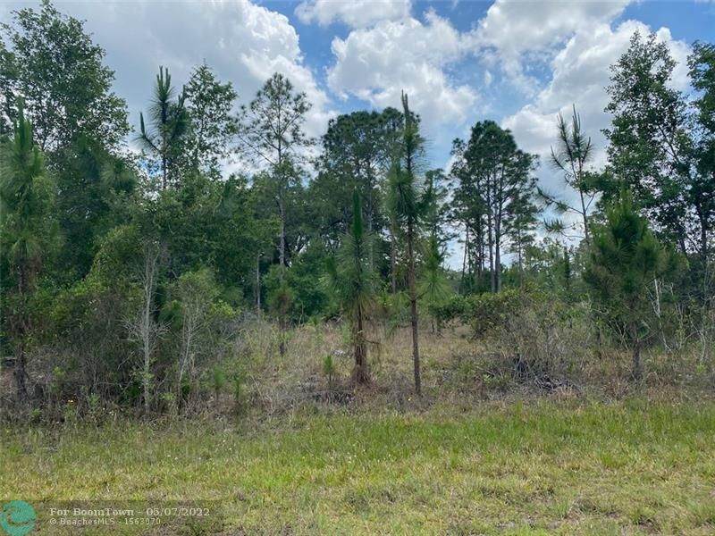 Lot 19 Plumosa Drive - Photo 1