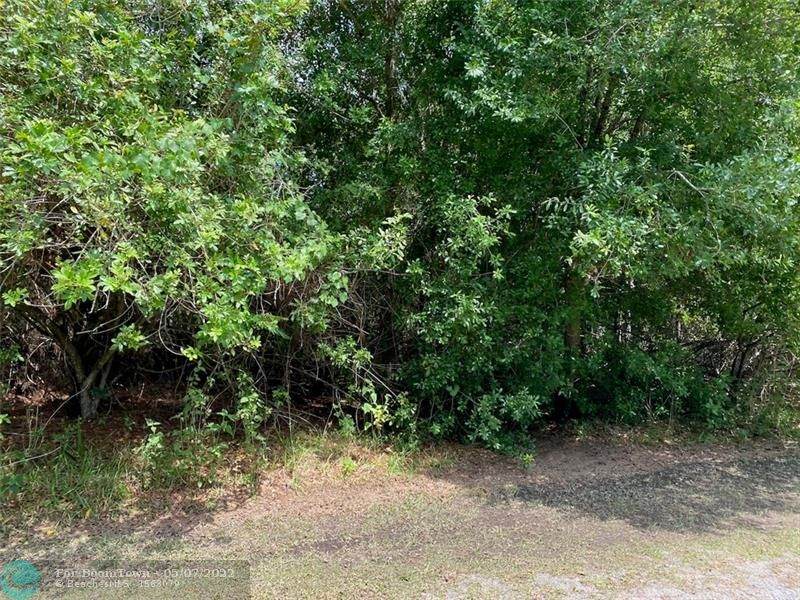 Lot 11 Lantana Drive - Photo 1