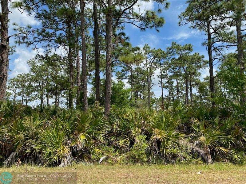 Lot 6 El Dorado Drive - Photo 1