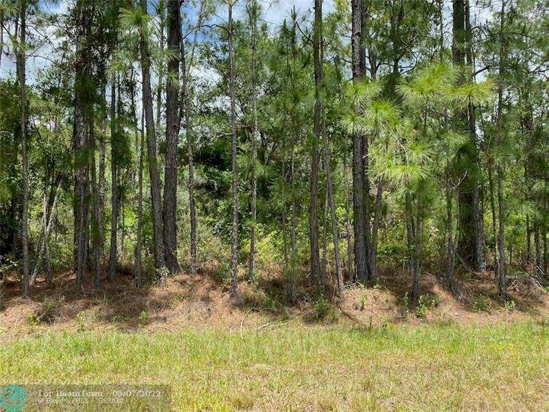 Lot 9 Plumosa Drive - Photo 1