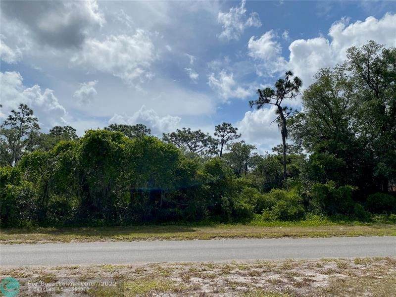 Lot 7 Deland Ave - Photo 1