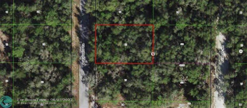 6527 Silverbell Terr - Photo 1