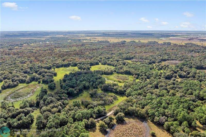 31000 Okeechobee Road - Photo 1