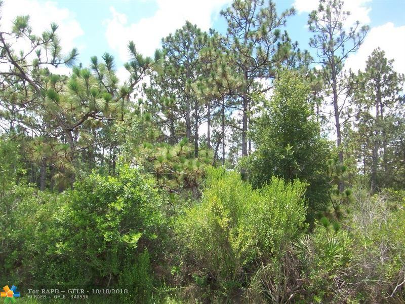 20433 Quinlan Street - Photo 1