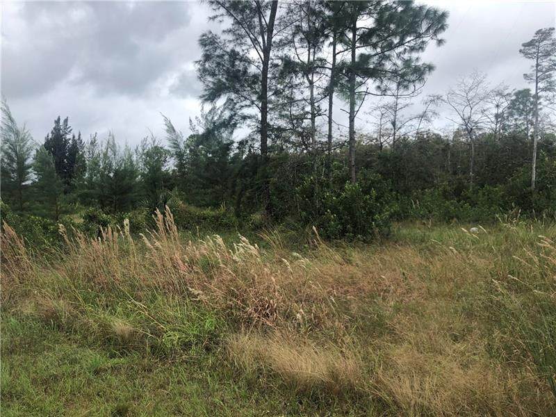 6801 Duckweed Road - Photo 1