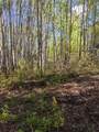 15538 Old Trail - Photo 7