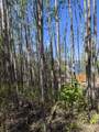 15538 Old Trail - Photo 8