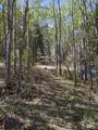 15538 Old Trail - Photo 9