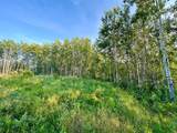 67417 Mcgrane Road - Photo 9