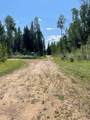 118 Poplar Drive Rr - Photo 19