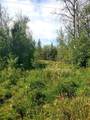 67458 McGrane Road - Photo 2