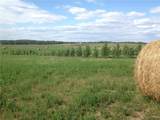 68126 Campsite Road - Photo 3