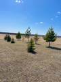 66524 Rge Rd 161 - Photo 12