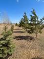 66524 Rge Rd 161 - Photo 14