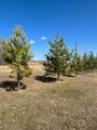 66524 Rge Rd 161 - Photo 15