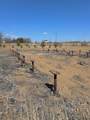 66524 Rge Rd 161 - Photo 4