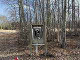 154 Poplar Drive Rr - Photo 10