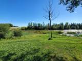 16303 Birch Grove Road - Photo 31