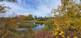 16303 Birch Grove Road - Photo 43