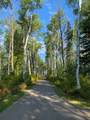 204 Sparrow Hawk Drive - Photo 2