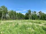 13279 Lakeland Drive - Photo 37