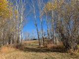 13279 Lakeland Drive - Photo 4