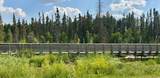 13379 670 Township - Photo 11