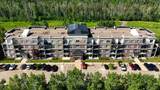 204 Sparrowhawk Drive - Photo 33