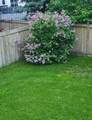 143 Breukel Crescent - Photo 45