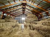 37317 Range Road - Photo 41