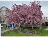 161 Snowy Owl Way - Photo 39