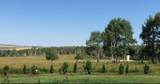 4142 Township Road 290 - Photo 33