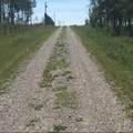 4142 Township Road 290 - Photo 36
