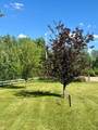386 11355  Twp 640 Road - Photo 22