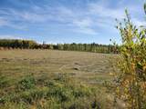 68164 Campsite Road - Photo 3
