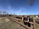 10014B 2 Highway - Photo 19