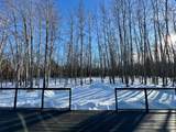 67325 Churchill Park Road - Photo 44