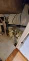 53 Street - Photo 26