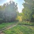 67458 Mcgrane Road - Photo 2