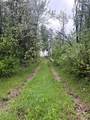 534 67432 MCGRANE Road - Photo 3