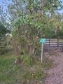 11120 Twp Rd 632A - Photo 38